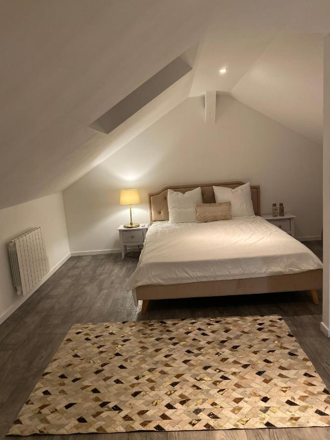 Le Duplex De L'Avenue Leilighet Chalon-sur-Saône Eksteriør bilde